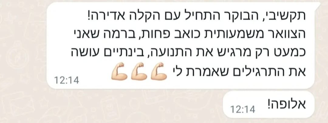 המלצה 2