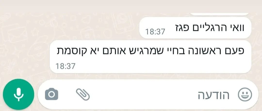המלצה 3